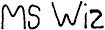Ms Wiz