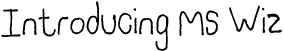 Introducing Ms Wiz